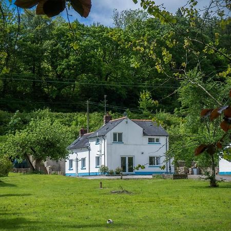 Tucking Mill - 3 Bedroom Holiday Home - Stepaside Stepaside  Екстериор снимка