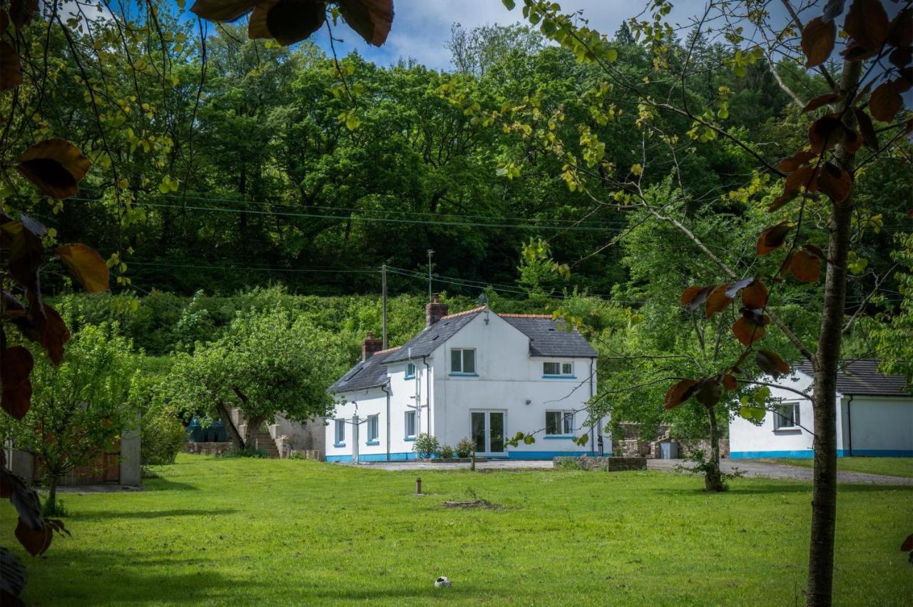 Tucking Mill - 3 Bedroom Holiday Home - Stepaside Stepaside  Екстериор снимка
